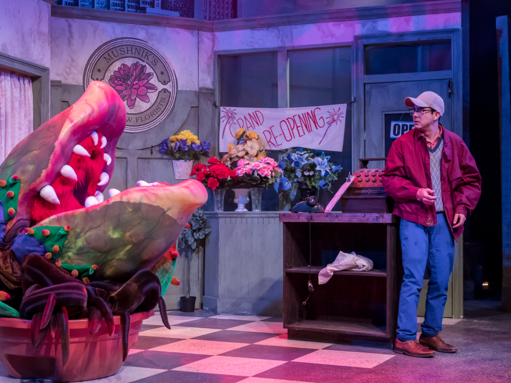 EXTENDED Thru June 30th “Little Shop of Horrors” (Mercury Theater): Hilarious American Horror Story