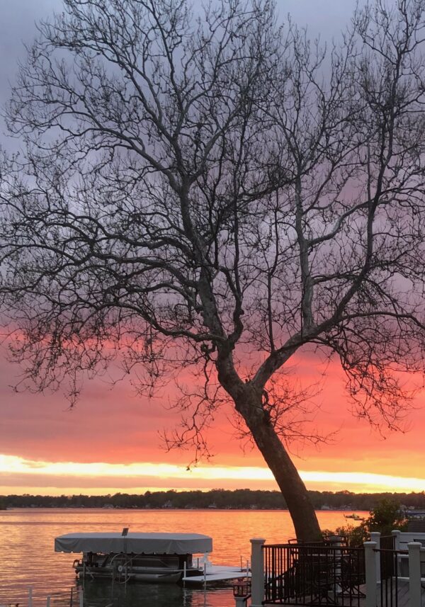 May and June Check-In