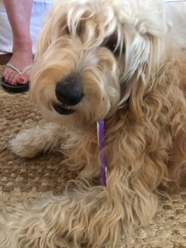 July and August Check-In