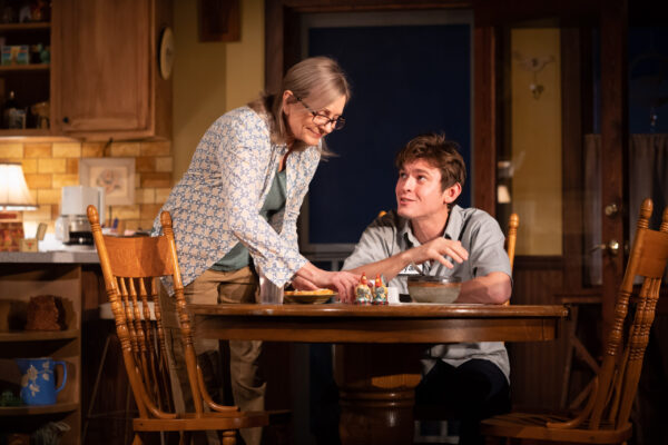 Review “Swing State” (Goodman Theatre): Delivering Human Imperfection Perfectly!