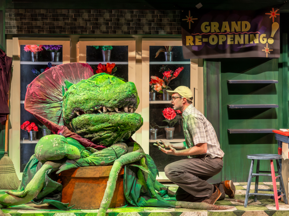 Review “Little Shop of Horrors” (Music Theater Works): No Tricks, All Treat!