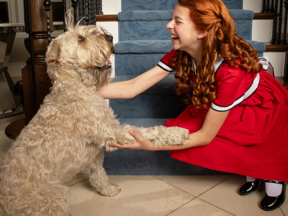 Review “Annie” (Music Theater Works): Irresistibly Optimistic
